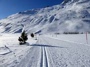 Pista da fondo in Andermatt