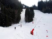 Bernards - Skilift a piattello