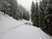 Inizio della discesa Hababfahrt