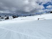 Pista di allenamento presso Monkey Bar