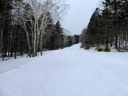 Pista facile Second Central Road