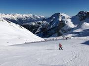 Facile discesa olimpica femminile