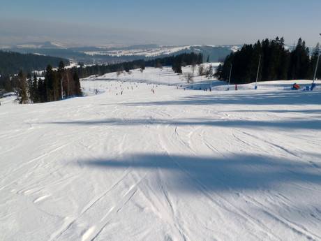 Preparazione delle piste Monti Beschidi orientali – Preparazione delle piste Białka Tatrzańska - Kotelnica/Kaniówka/Bania