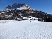 Pista d’allenamento Le Pope direttamente al Passo Carezza
