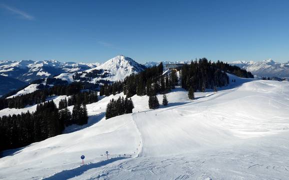 Ferienregion Hohe Salve: Dimensione dei comprensori sciistici – Dimensione SkiWelt Wilder Kaiser-Brixental