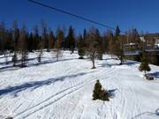 Tracce attraverso il bosco