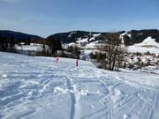 Divertimento per tutta la famiglia presso lo skilift Weitnau