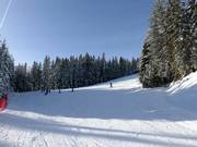 Discesa sud Rittisberg