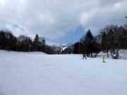 Discesa facile Prince