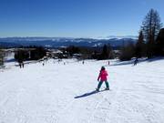 Pista facile presso Zirbenlift 2