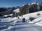 Florihanglift 1 - Skilift con T-bar/ancora