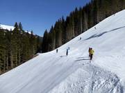 Discesa sportiva Chuenis-Bergläger