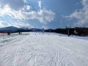 Pista ampia e facile Family