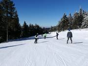 Pista Spojovací cesta - Rondo