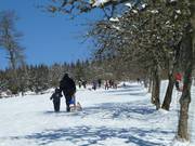 Divertimento per tutta la famiglia sulla pista da slittino