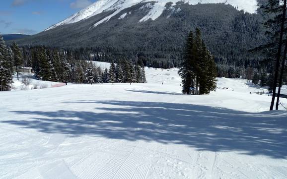 Comprensori sciistici per principianti nella Clark Range – Principianti Castle Mountain