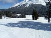 Piste per principianti presso la Green Chair