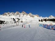Pista facile Campo Scuola Chiesetta (Passo San Pellegrino)
