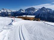 Pista di fondo in quota Motta Naluns