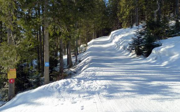 Sci di fondo Lizard Range – Sci di fondo Fernie