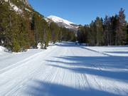 Discesa a valle verso Tschierv