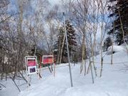 Gate per le discese nel bosco disboscato