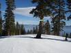 Sierra Nevada (US): Orientamento nei comprensori sciistici – Orientamento Homewood Mountain Resort