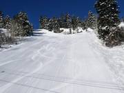 Eccellente preparazione delle piste