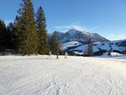 Facile pista panoramica