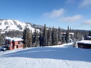 Da Silver Queen al Village