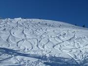 Anche il freeride è possibile