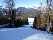 Eckerbichllift - Skilift con T-bar/ancora