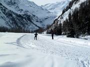 Pista di fondo in quota a Solda