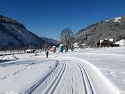 Piste da fondo a Ramsau am Dachstein
