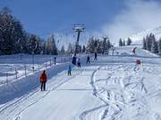 DinoJet - Skilift a piattello