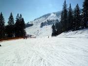 Facile pista familiare presso la seggiovia Sonnenhang