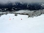 Discesa Critical Path