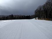 Pista Central Street