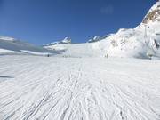 Pista facile n. 38 Tiefenbachferner