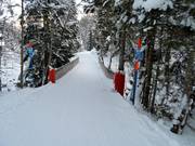 Discesa a valle verso Adelboden-Oey