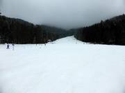 Pista Leiste presso lo skilift per principianti