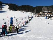 Fredyband II (Fredy-Land) - Tapis roulant/Tappeto Magico