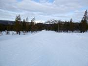 Pista facile nella zona a valle Ylläs-Ski