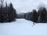 Pista Aladar's Alley