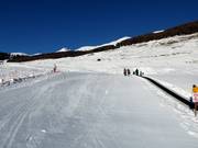 Tappeto magico a Sent