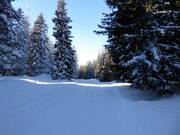 Pista di collegamento agli impianti di risalita