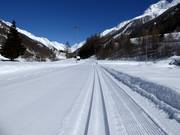 Pista da fondo nella Lötschental
