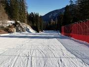 Facile discesa Azzurra verso Folgàrida