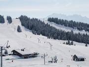 Coqs - Skilift a piattello