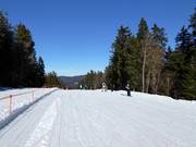 Facile pista per famiglie presso la seggiovia Sonnenhang